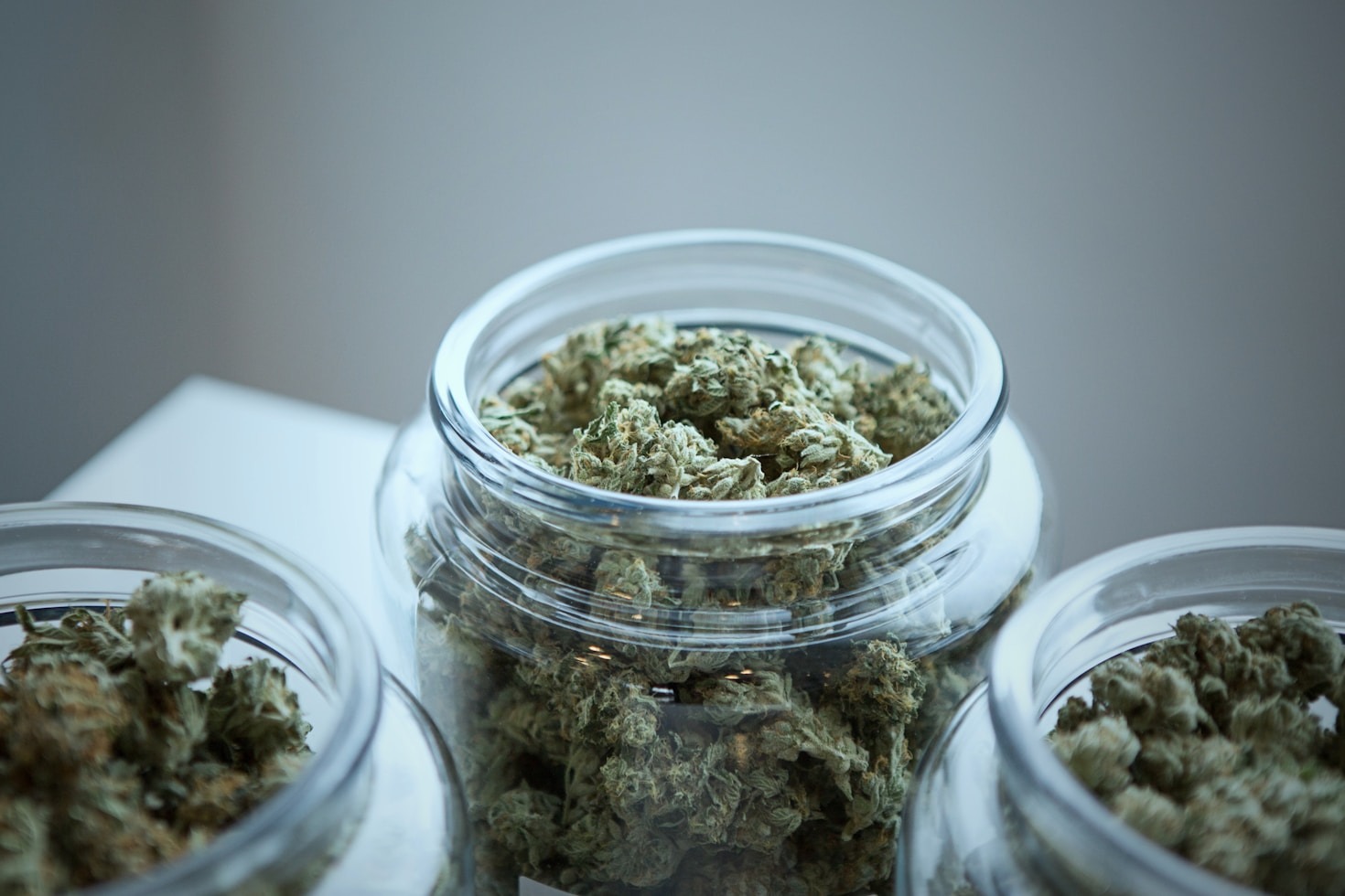 How AI is Revolutionizing Cannabis News Reporting